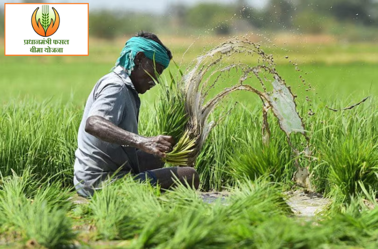 Indian farmer planting paddy in a field under Pradhan Mantri Fasal Bima Yojana (PMFBY) scheme with logo in corner, symbolizing agricultural insurance support.
